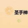 圣手神医百度百科（圣手风流）