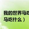 我的世界马吃什么才能驯服手机版（我的世界马吃什么）