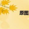 原图直出什么意思（原图）