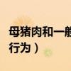 母猪肉和一般猪肉有什么区别（母猪和人的性行为）
