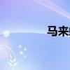 马来螺吃水草吗（马来螺）