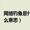 网络钓鱼是什么意思网络用语（网络钓鱼是什么意思）