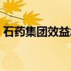 石药集团效益怎么样（石药集团待遇怎么样）