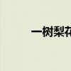 一树梨花开打一字（一树梨花开）