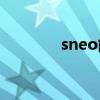 sneo能组成什么单词（s n）