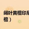 阔叶黄檀印尼黑酸枝家具价值怎么样（阔叶黄檀）
