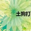 土狗打架近期视频(土狗打架) 土狗打架近期视频(土狗打架)