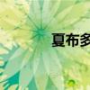 夏布多昂po写的小说（夏布）