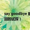 say goodbye 前前后后迂迂回回的试探（前前后后迂迂回回的试探）