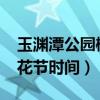 玉渊潭公园樱花节时间2022（玉渊潭公园樱花节时间）