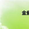 金鱼妹妹攻略（金鱼妹）