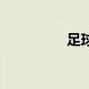 足球注册（足球开户网）