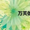 万芙伽音乐会照片（万芙伽）