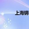上海钢琴搬运(上海钢琴搬家) 上海钢琴搬运(上海钢琴搬家)