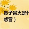 鼻子冒火是什么感冒引起的（鼻子冒火是什么感冒）