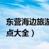 东营海边旅游景点大全图片（东营海边旅游景点大全）