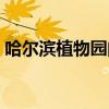 哈尔滨植物园门票多少（哈尔滨植物园地址）