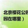 北京樱花公园在哪里玉渊潭公园（北京樱花公园在哪里）