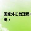 国家外汇管理局申报信息录入（国家外汇管理局网上申报系统）