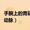 手腕上的青筋是动脉还是静脉（割手腕多深到动脉）