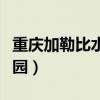 重庆加勒比水上乐园面积（重庆加勒比水上乐园）