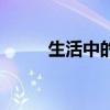生活中的数学论文（生活中的数）