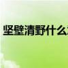 坚壁清野什么意思求解急（坚壁清野的意思）