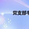 党支部书记选举程序（选举程序）