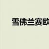 雪佛兰赛欧优逸版（新赛欧1 4优逸版）