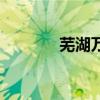 芜湖万达音乐节（芜湖万达）