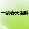 一到春天眼睛奇痒无比（春天眼睛痒怎么办）