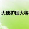 大唐护国大将军李诚小说（大唐护国大将军）