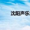 沈阳声乐培训学校（沈阳声乐培训）