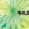 韦礼安中国好声音（韦礼安）