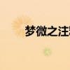 梦微之注释（梦微之是同性恋诗吗）
