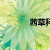 茜草科中药有哪些（茜草科）