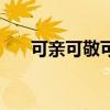 可亲可敬可信的中国形象（可亲可敬）