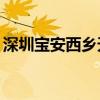 深圳宝安西乡天气预报15天（深圳宝安西乡）
