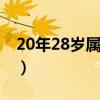 20年28岁属什么的生肖（28岁属什么的生肖）