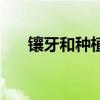镶牙和种植牙有什么区别哪个好（镶）