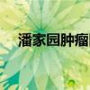 潘家园肿瘤医院电话（潘家园肿瘤医院）
