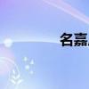名嘉广场房价（名嘉广场）