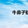 牛鼻子软件安装包（牛鼻子软件）