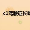 c1驾驶证长啥样（c1驾驶证是什么样子图）