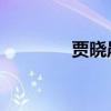 贾晓晨 年龄（贾晓晨内衣）
