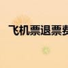 飞机票退票费报销凭证（退票费报销凭证）