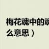 梅花魂中的魂是指什么意思（梅花魂的魂指什么意思）