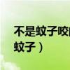 不是蚊子咬的包 很痒 这是什么东西?（不是蚊子）