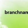 branchname中文意思（branchname）