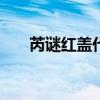 芮谜红盖代购150一瓶贵不贵（芮谜）